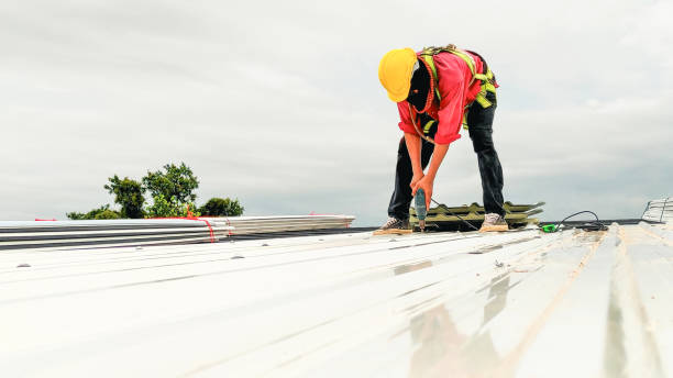 Best Chimney Flashing Repair  in West Carrollton, OH